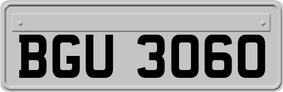 BGU3060