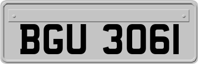 BGU3061
