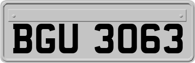 BGU3063