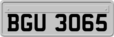 BGU3065
