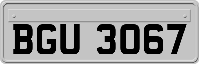 BGU3067