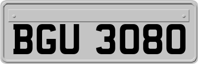 BGU3080