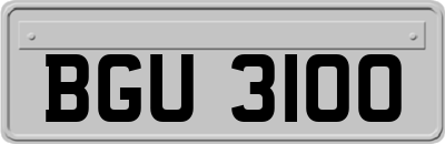 BGU3100