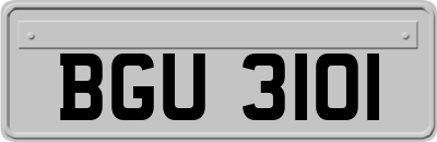 BGU3101