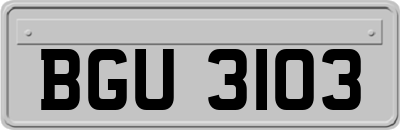 BGU3103
