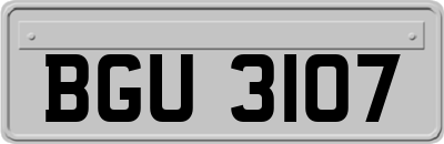 BGU3107