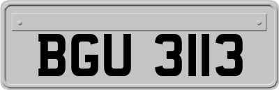 BGU3113