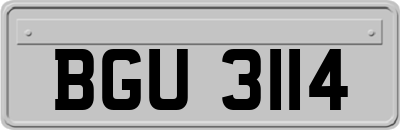 BGU3114
