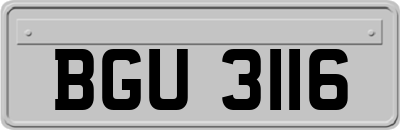 BGU3116