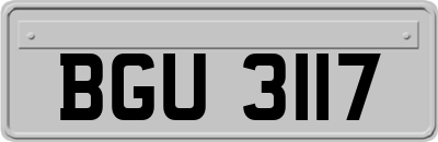 BGU3117