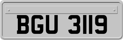 BGU3119