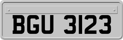 BGU3123