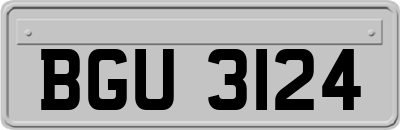 BGU3124
