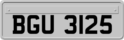 BGU3125