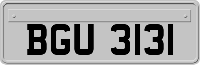 BGU3131