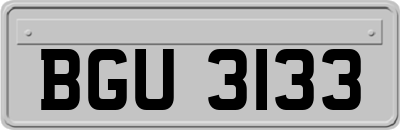 BGU3133