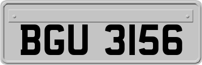 BGU3156