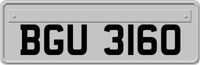 BGU3160