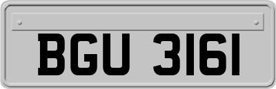 BGU3161