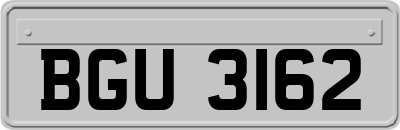 BGU3162
