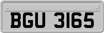 BGU3165