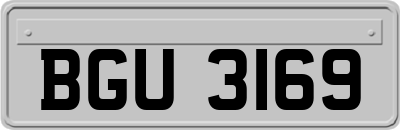 BGU3169
