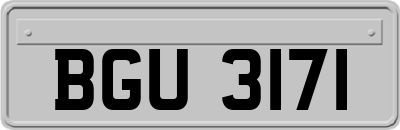 BGU3171