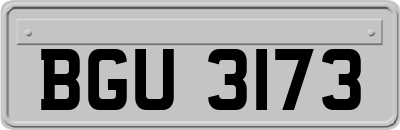 BGU3173