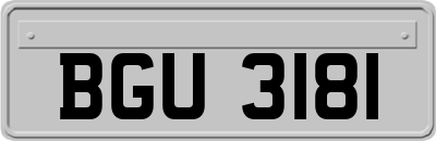 BGU3181