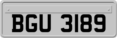 BGU3189