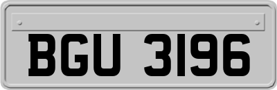 BGU3196