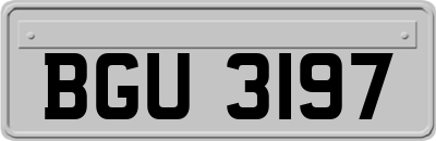 BGU3197