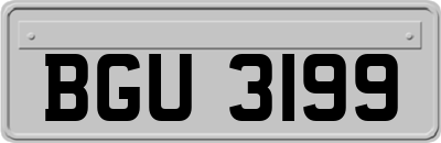 BGU3199