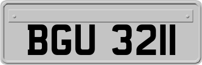 BGU3211