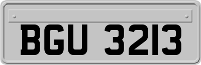 BGU3213