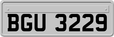 BGU3229