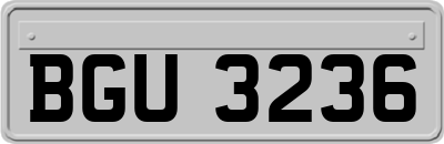 BGU3236