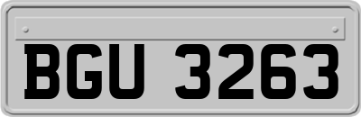 BGU3263
