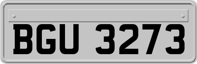 BGU3273