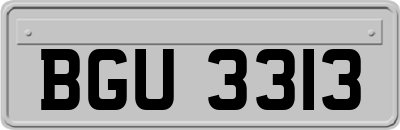 BGU3313