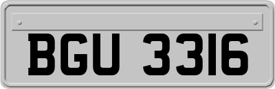 BGU3316