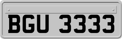 BGU3333