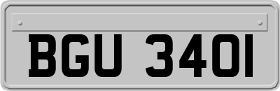 BGU3401