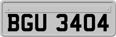 BGU3404
