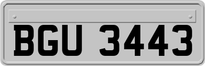 BGU3443