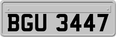 BGU3447