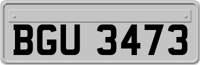 BGU3473