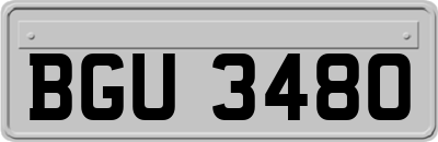 BGU3480
