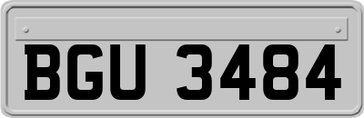 BGU3484