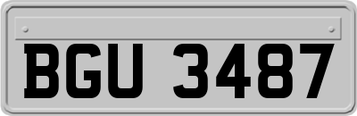BGU3487